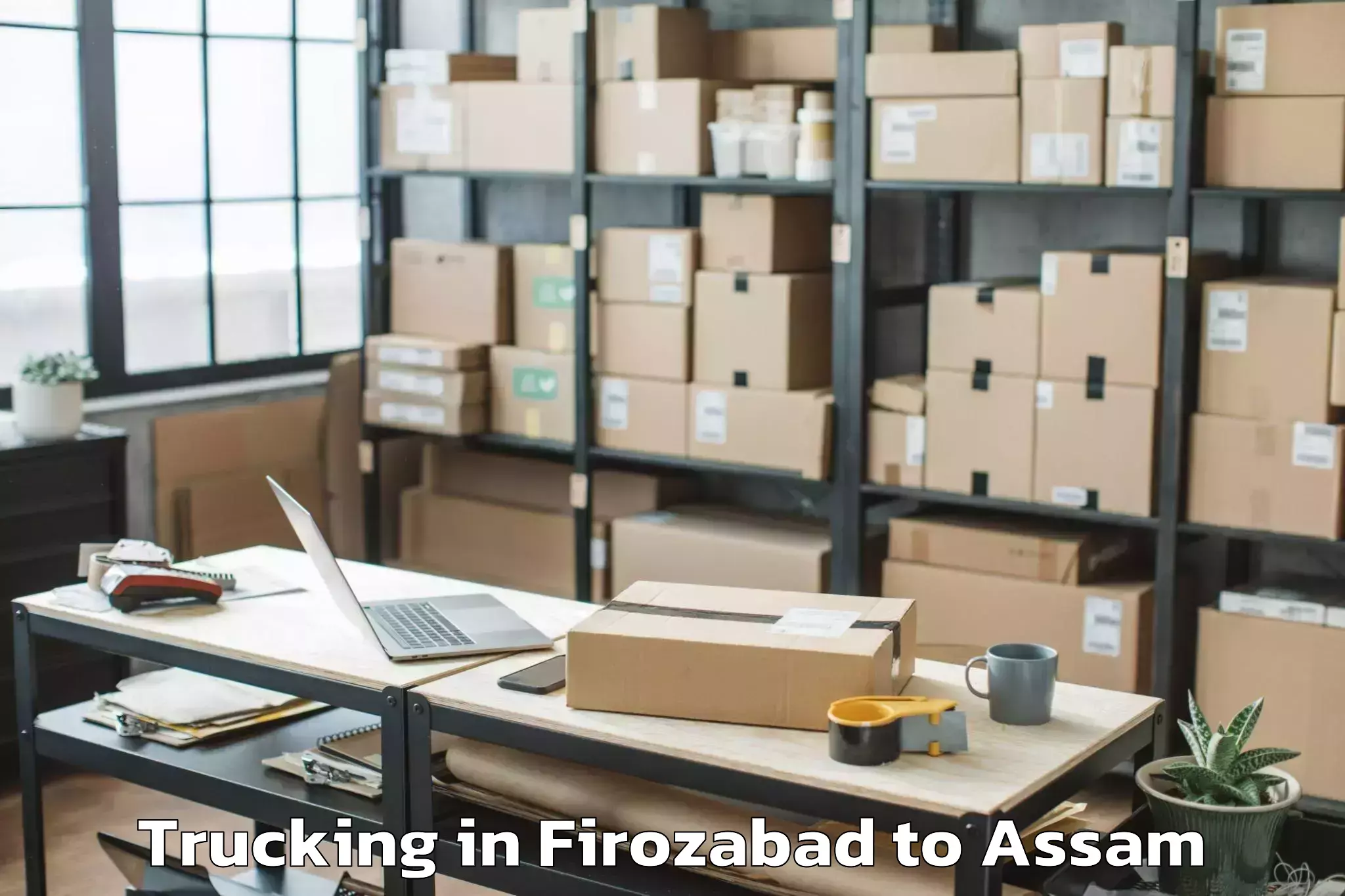 Get Firozabad to Sarthebari Trucking